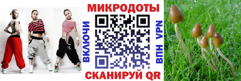 MEGA ТОР  Севастополь  Галлюциногенные грибы мицелий 