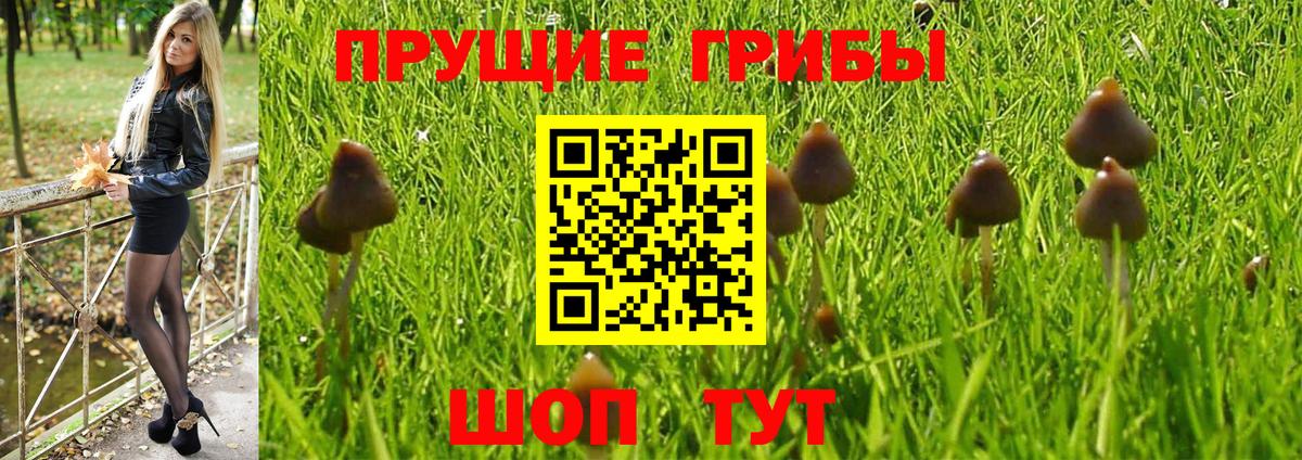 Псилоцибиновые грибы Magic Shrooms Севастополь