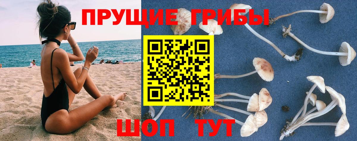 Севастополь  Псилоцибиновые грибы прущие грибы  Галлюциногенные грибы мицелий  Вход с VPN 